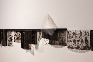 Jhouyu H, Patterns of Extinct Life I (53)